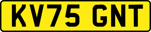 KV75GNT