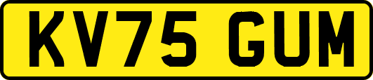 KV75GUM