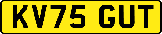 KV75GUT