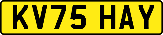 KV75HAY