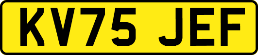 KV75JEF
