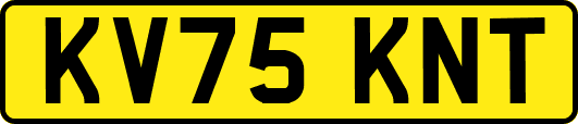 KV75KNT