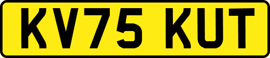 KV75KUT