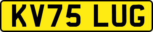 KV75LUG