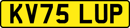 KV75LUP
