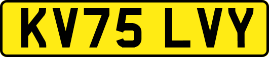 KV75LVY