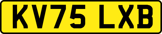 KV75LXB