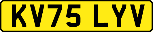 KV75LYV