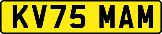 KV75MAM