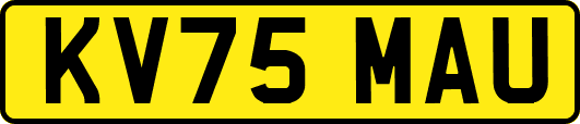 KV75MAU