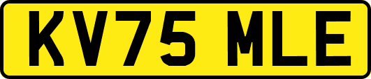 KV75MLE