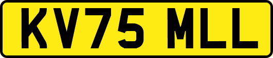 KV75MLL