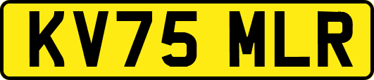 KV75MLR