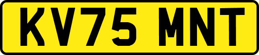 KV75MNT