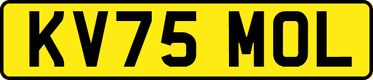 KV75MOL
