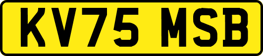 KV75MSB