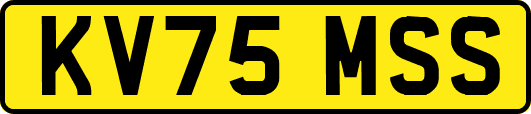 KV75MSS