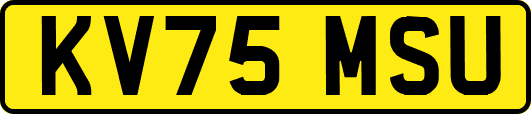 KV75MSU