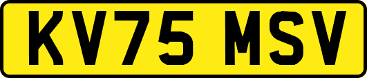 KV75MSV