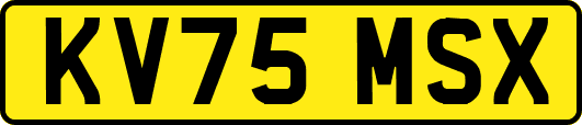 KV75MSX