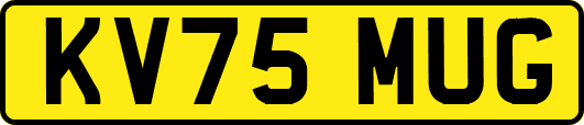 KV75MUG