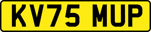 KV75MUP