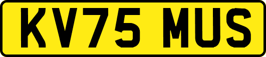 KV75MUS