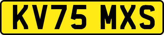 KV75MXS