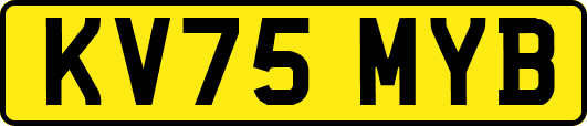 KV75MYB