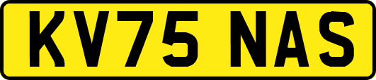 KV75NAS
