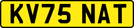 KV75NAT