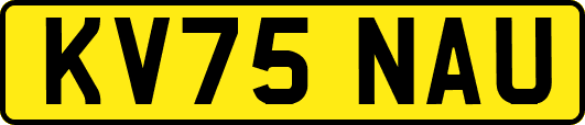 KV75NAU