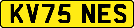 KV75NES