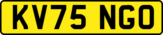 KV75NGO
