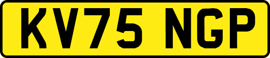 KV75NGP