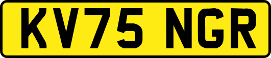 KV75NGR