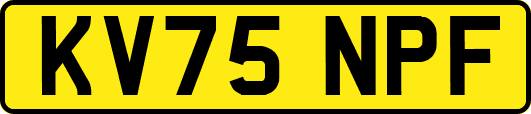KV75NPF