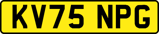 KV75NPG