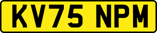 KV75NPM