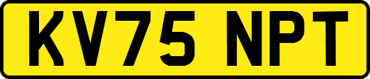 KV75NPT
