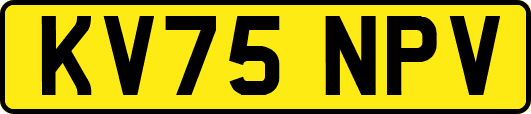KV75NPV