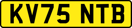 KV75NTB