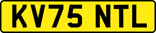 KV75NTL