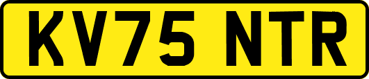 KV75NTR