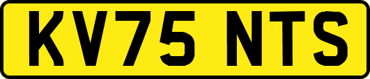 KV75NTS