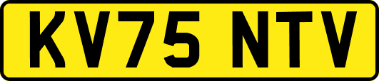 KV75NTV