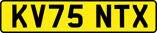 KV75NTX