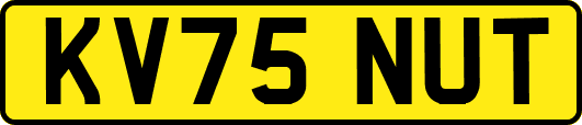 KV75NUT