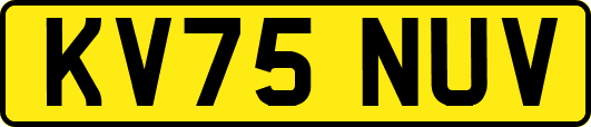 KV75NUV