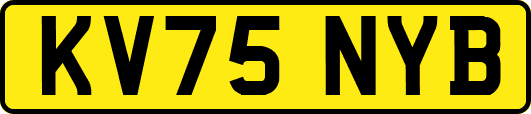 KV75NYB